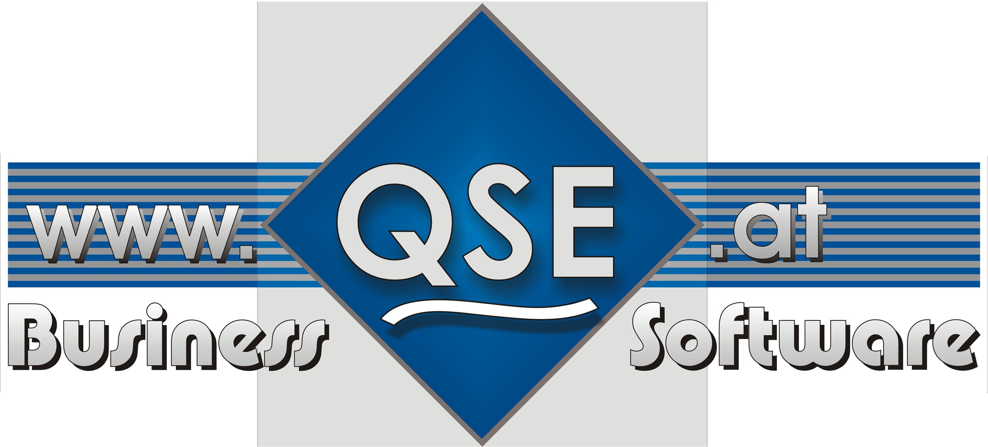 QSE Business Software 3300dpi